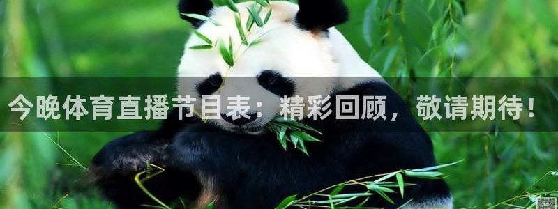 今晚体育直播节目表：精彩回顾，敬请期待！