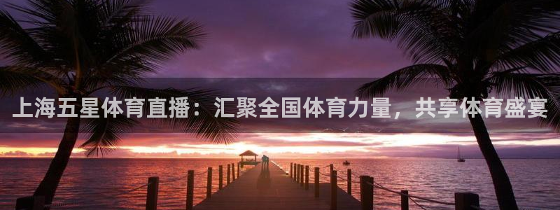 上海五星体育直播：汇聚全国体育力量，共享体育盛宴