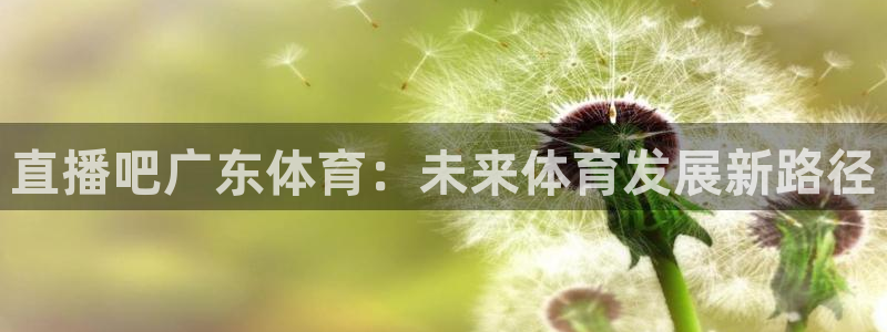 直播吧广东体育：未来体育发展新路径