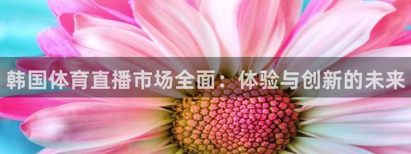 韩国体育直播市场全面：体验与创新的未来