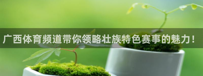 广西体育频道带你领略壮族特色赛事的魅力！