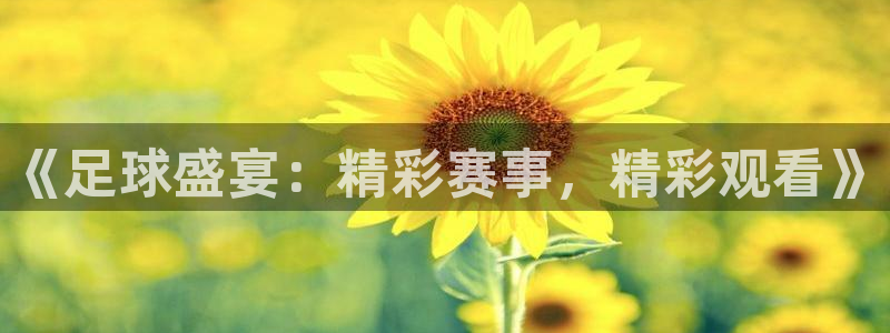 《足球盛宴：精彩赛事，精彩观看》