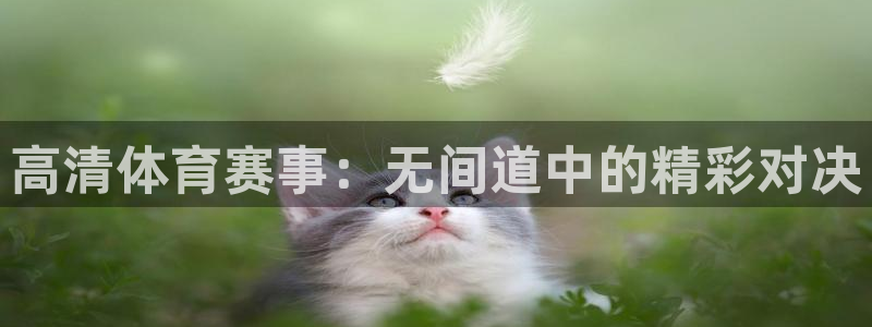 高清体育赛事：无间道中的精彩对决