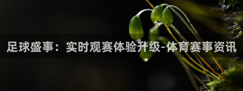 足球盛事：实时观赛体验升级-体育赛事资讯
