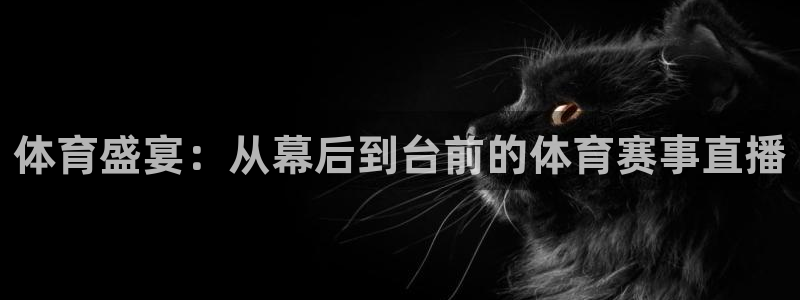 体育盛宴：从幕后到台前的体育赛事直播