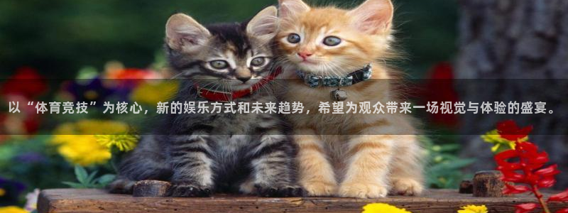 以“体育竞技”为核心，新的娱乐方式和未来趋势，希望为观众带来一场视觉与体验的盛宴。